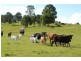 Gloucester NSW 2422