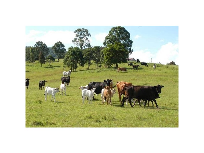 Gloucester NSW 2422