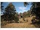Gloucester NSW 2422