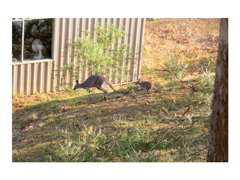 Gloucester NSW 2422