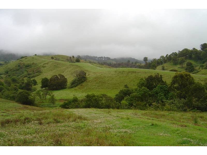 Wallanbah NSW 2422