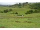 Wallanbah NSW 2422