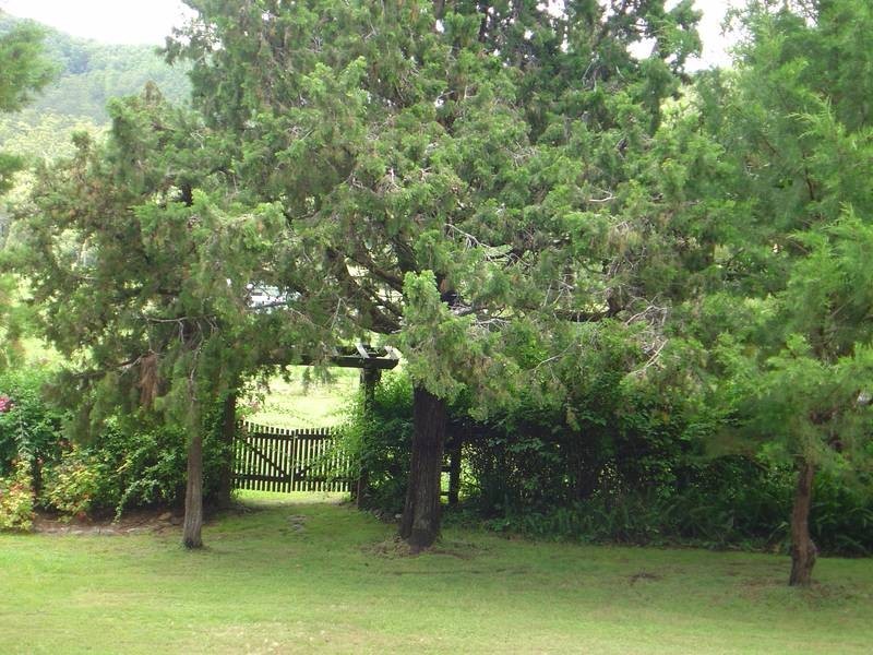 Gloucester NSW 2422