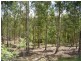 Gloucester NSW 2422