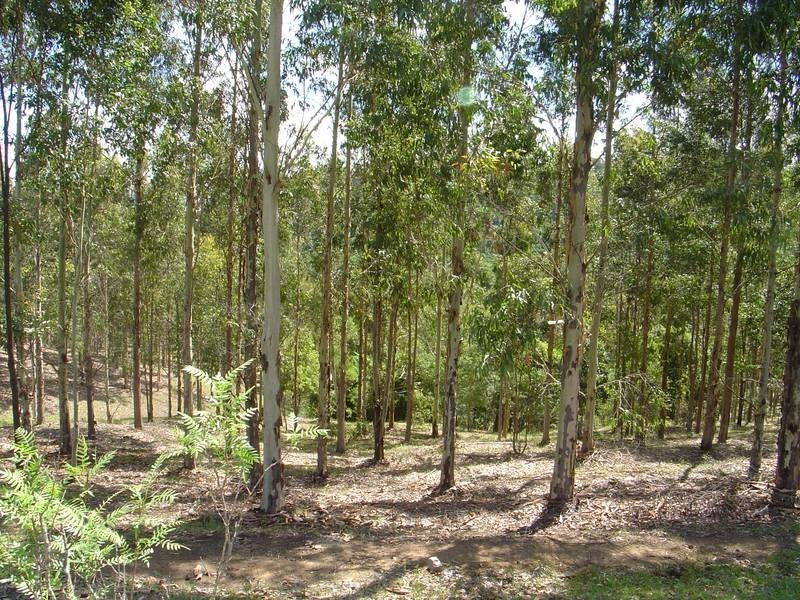 Gloucester NSW 2422