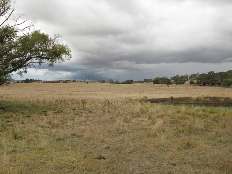 152 Bentleys Lane via Millthorpe, Orange NSW 2800