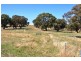 Amaroo Road, Orange NSW 2800