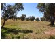 Amaroo Road, Orange NSW 2800