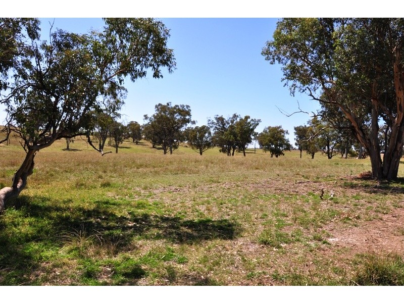 Amaroo Road, Orange NSW 2800