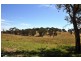 Amaroo Road, Orange NSW 2800
