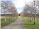 RMB11 Cargo Road, Orange NSW 2800