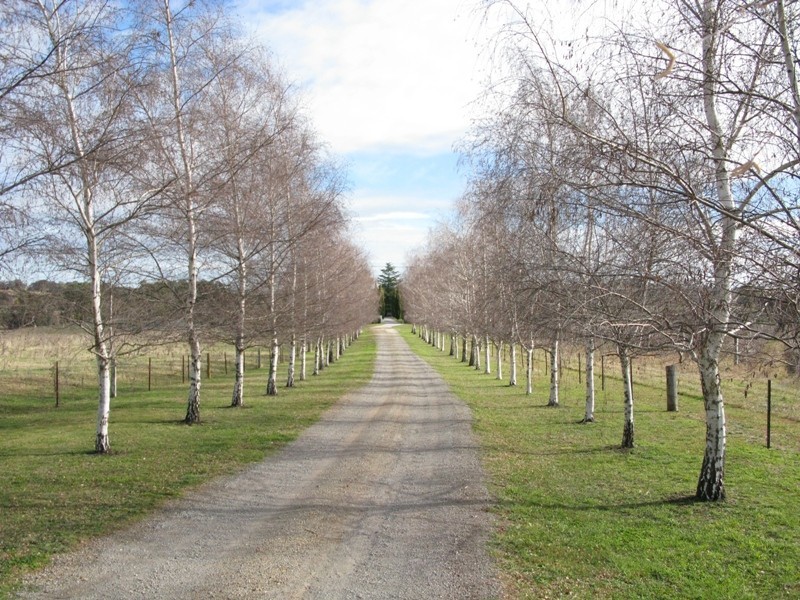 RMB11 Cargo Road, Orange NSW 2800