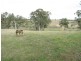 RMB11 Cargo Road, Orange NSW 2800