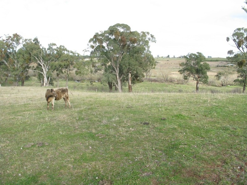RMB11 Cargo Road, Orange NSW 2800