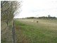 RMB11 Cargo Road, Orange NSW 2800