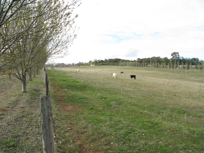RMB11 Cargo Road, Orange NSW 2800