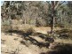 1423 Ophir Road, Orange NSW 2800
