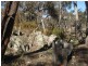 1423 Ophir Road, Orange NSW 2800