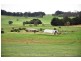 364 Nyes Gate Road, Millthorpe NSW 2798