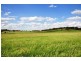 364 Nyes Gate Road, Millthorpe NSW 2798