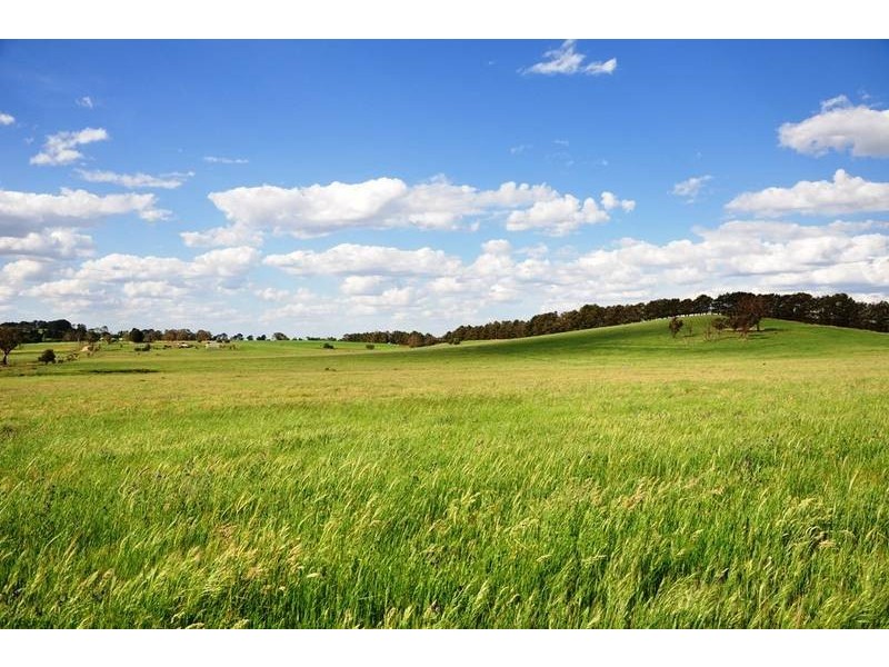 364 Nyes Gate Road, Millthorpe NSW 2798