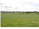 364 Nyes Gate Road, Millthorpe NSW 2798