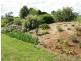 364 Nyes Gate Road, Millthorpe NSW 2798