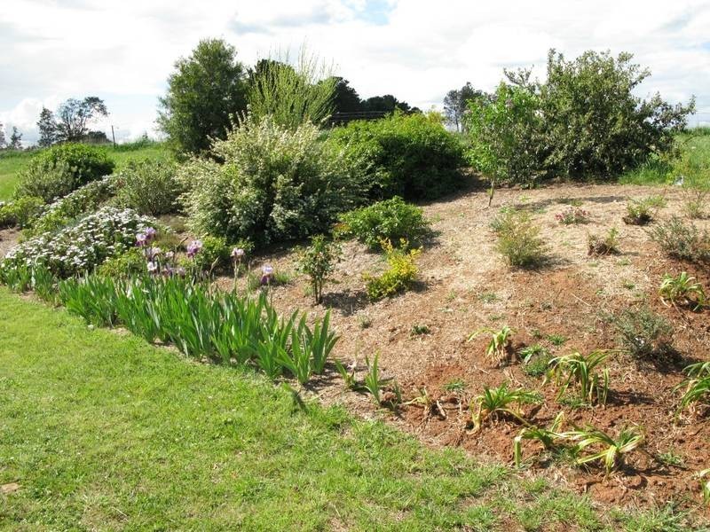 364 Nyes Gate Road, Millthorpe NSW 2798
