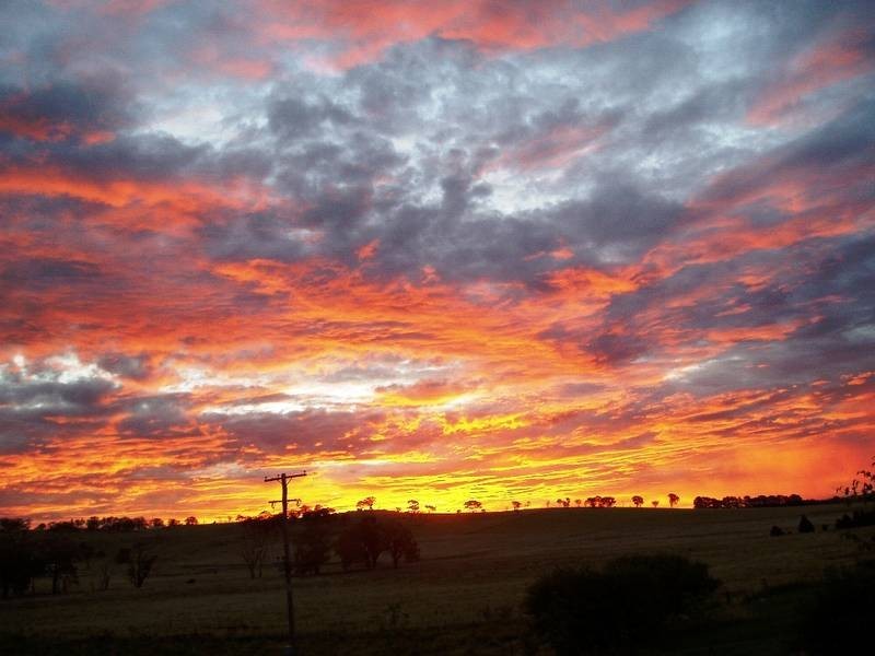 364 Nyes Gate Road, Millthorpe NSW 2798