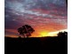 364 Nyes Gate Road, Millthorpe NSW 2798