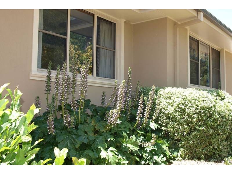 386 Cargo Road, Orange NSW 2800
