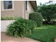 386 Cargo Road, Orange NSW 2800