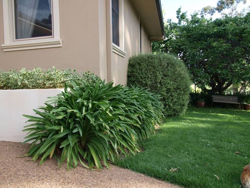 386 Cargo Road, Orange NSW 2800