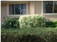 386 Cargo Road, Orange NSW 2800