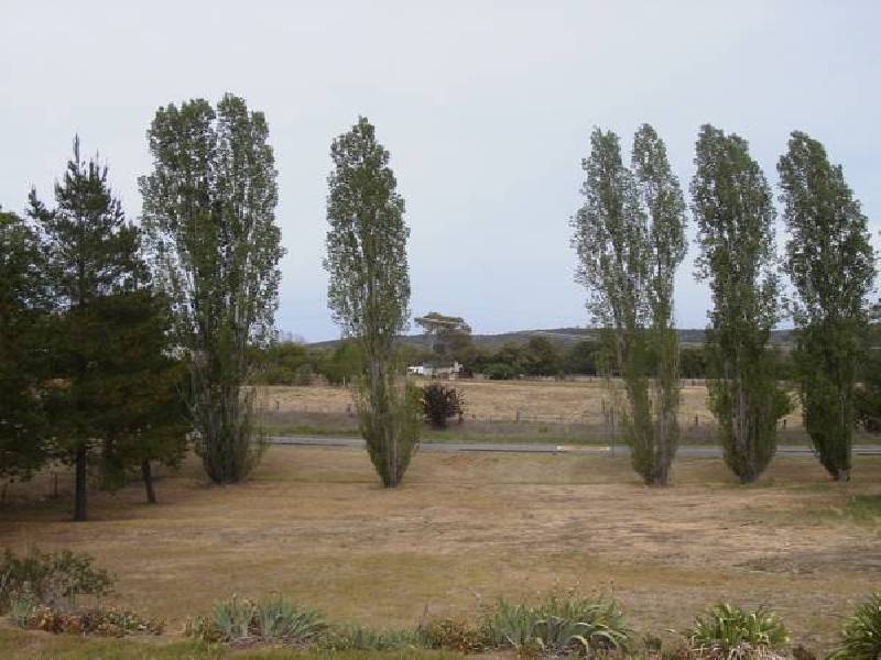 46 Smith Street, Molong NSW 2866