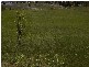Clergate Road, Orange NSW 2800