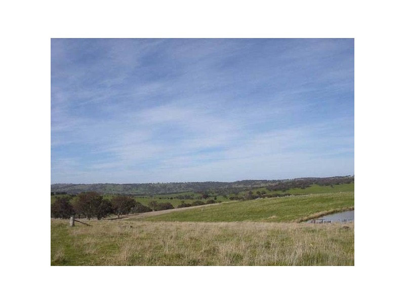 502 Thomas Kite Lane, Orange NSW 2800