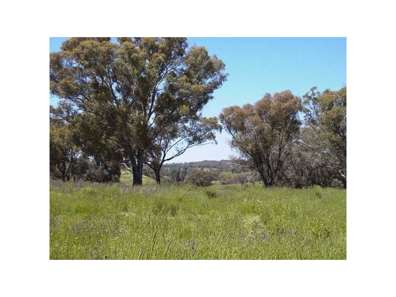 502 Thomas Kite Lane, Orange NSW 2800