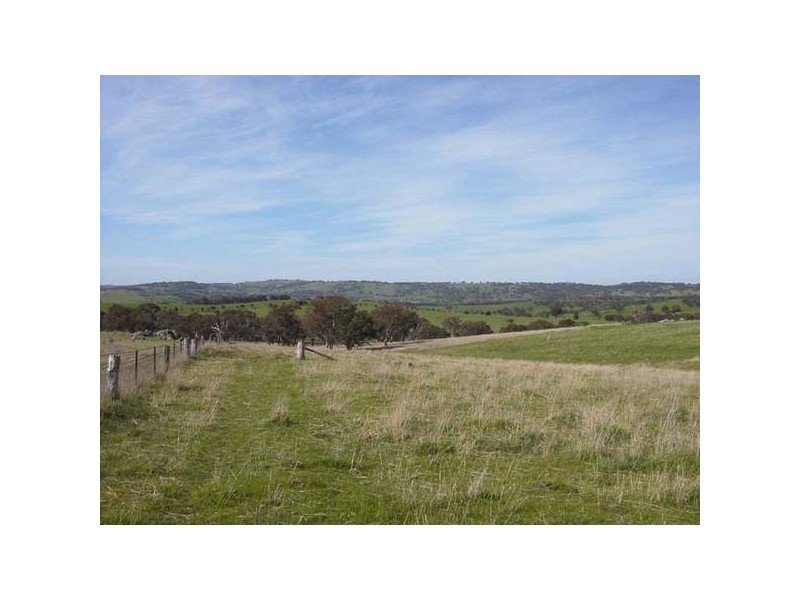 502 Thomas Kite Lane, Orange NSW 2800