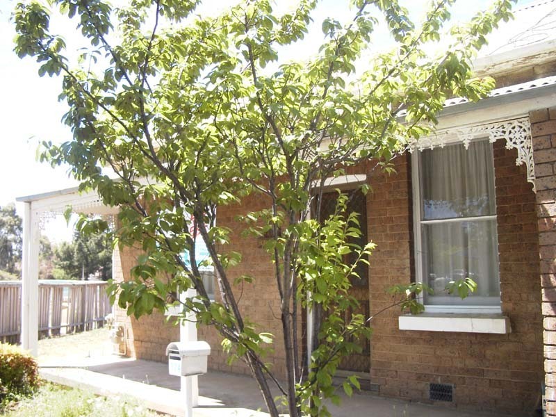 174 Edward Street, Orange NSW 2800