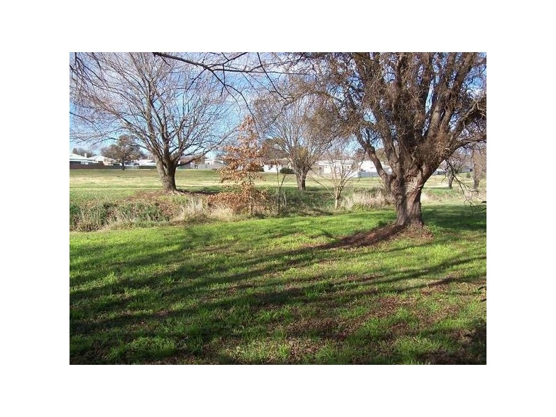 153 Little Warrendine Street, Orange NSW 2800