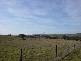 313 Windera Estate, Orange NSW 2800