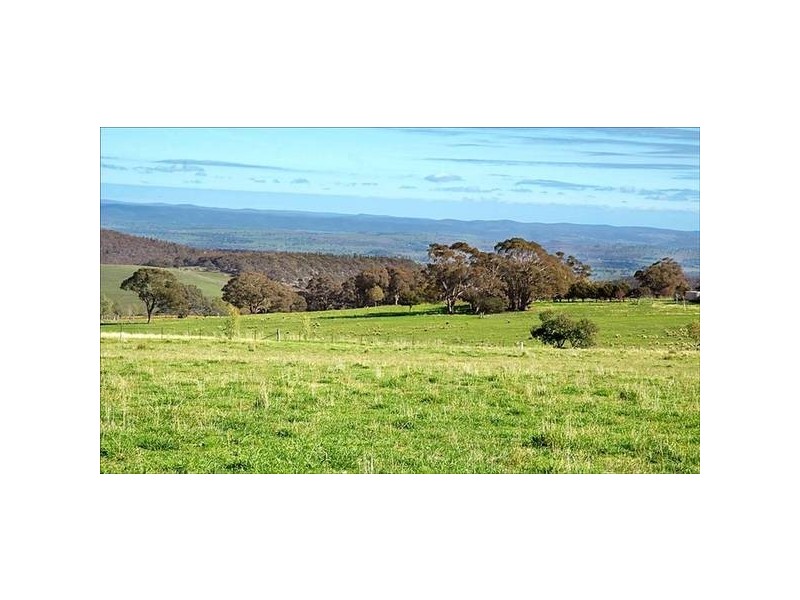 Cargo Road, Orange NSW 2800