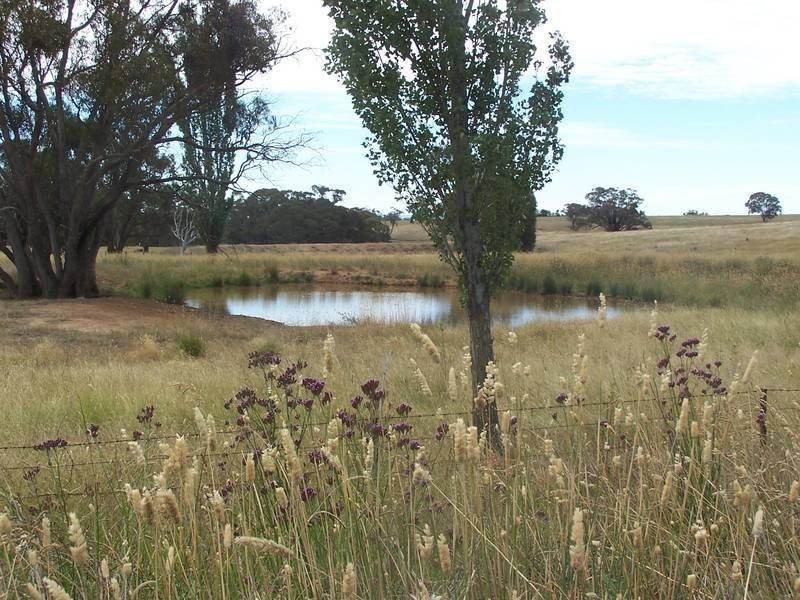 1730 Cargo Road, Orange NSW 2800
