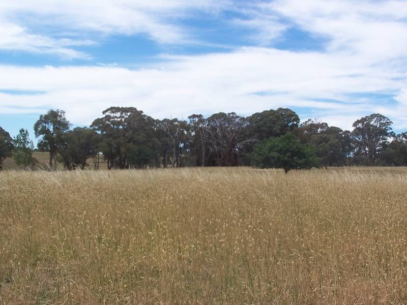 1730 Cargo Road, Orange NSW 2800