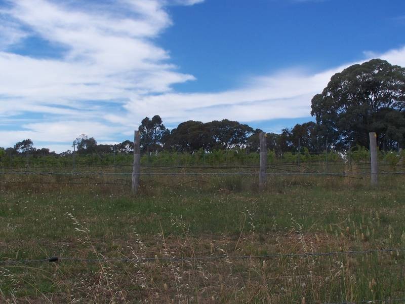 1730 Cargo Road, Orange NSW 2800