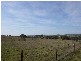 311 John Carroll Lane, Orange NSW 2800