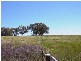 311 John Carroll Lane, Orange NSW 2800