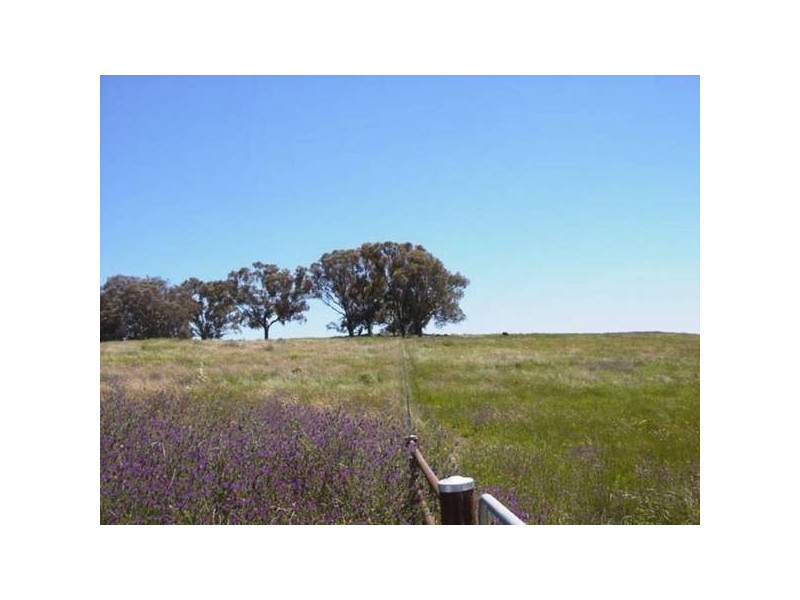 311 John Carroll Lane, Orange NSW 2800