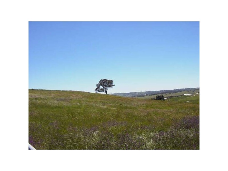 208 Thomas Kite Lane, Orange NSW 2800